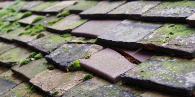 Thringstone roof repair costs